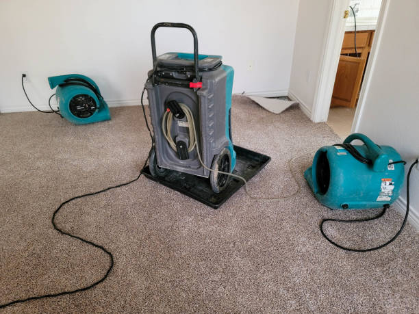 Best Water damage restoration near me  in Viera East, FL