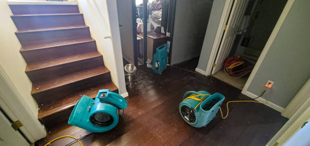 Best Emergency water damage restoration  in Viera East, FL