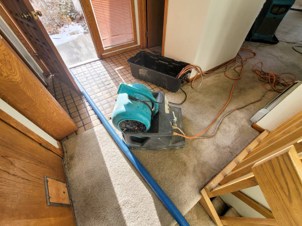 Best Basement water damage restoration  in Viera East, FL