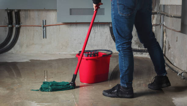 Local water damage restoration in Viera East, FL