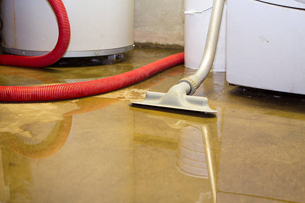 Best Flood damage cleanup  in Viera East, FL