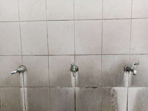 Professional Water damage restoration in Viera East, FL