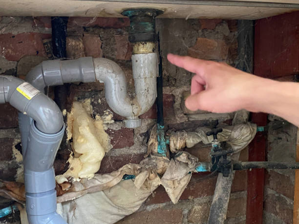Best Water damage cleanup near me  in Viera East, FL