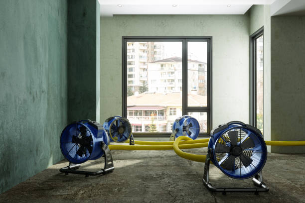 Best Emergency water damage restoration  in Viera East, FL