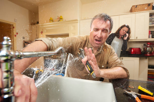 Best Basement water damage restoration  in Viera East, FL